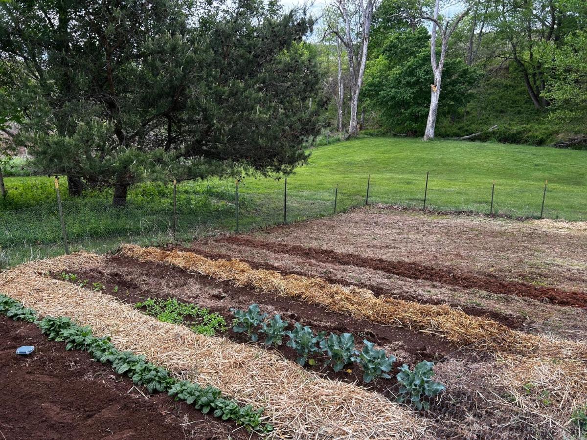 Villa Walnut Run Farm Woodville Esterno foto