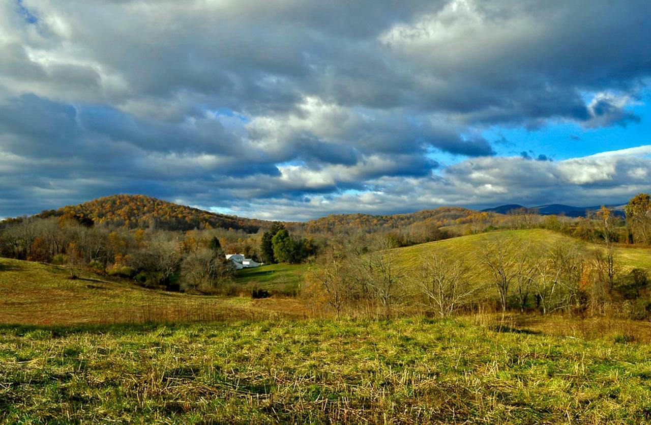 Villa Walnut Run Farm Woodville Esterno foto