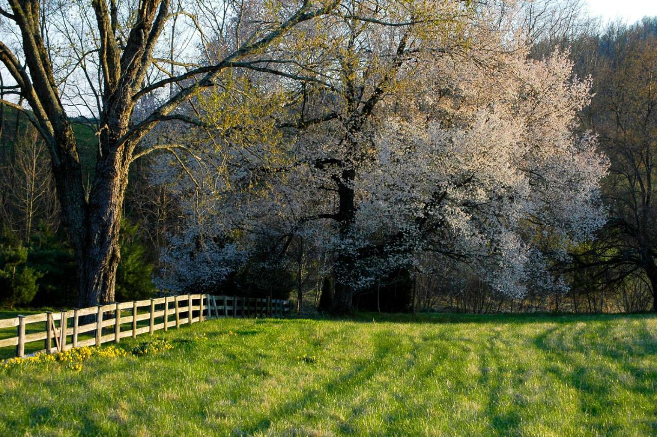 Villa Walnut Run Farm Woodville Esterno foto