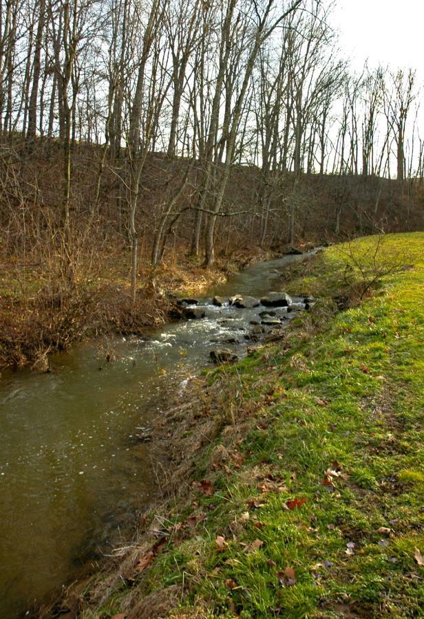 Villa Walnut Run Farm Woodville Esterno foto